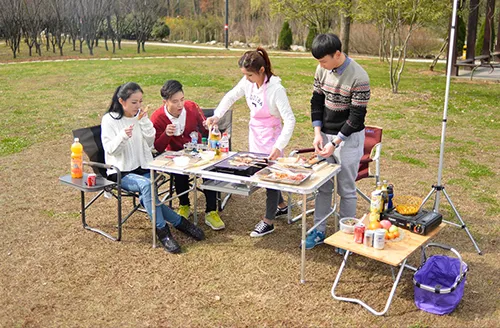Un carrefour multidimensionnel de la vie moderne : valeurs sanitaires, sociales et esthétiques des fauteuils inclinables.
